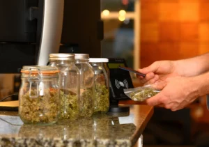 Cannabis Payment Processing and cannabis POS integrated payment processing 