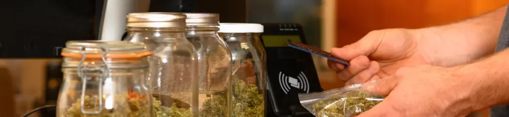 Cannabis Payment Processing: What Every Dispensary and Delivery CFO Needs to Know for Growth