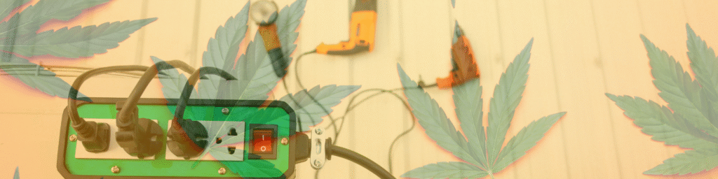 Payment Processing for Ancillary Cannabis Businesses: Don’t Get Left Out