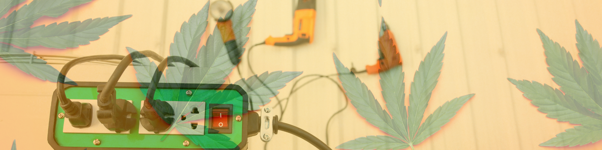 Payment Solutions for Ancillary Cannabis Businesses