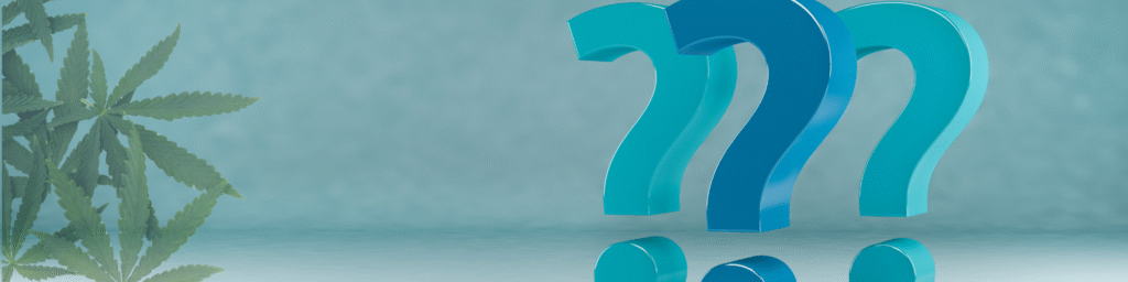 Top 7 Cannabis Payment Processing Questions: Answered