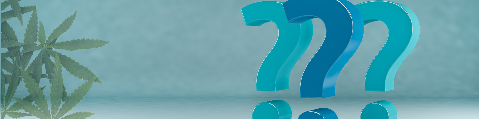 7 cannabis payment processing questions - Bankcard International Group your top 7 cannabis payment processing questions answered