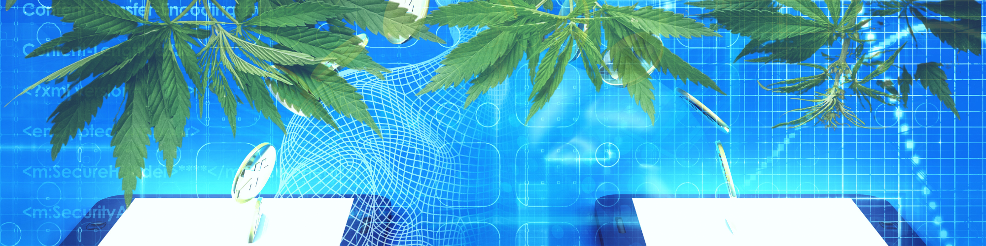 ACH payments for cannabis are changing the game -are you ready?