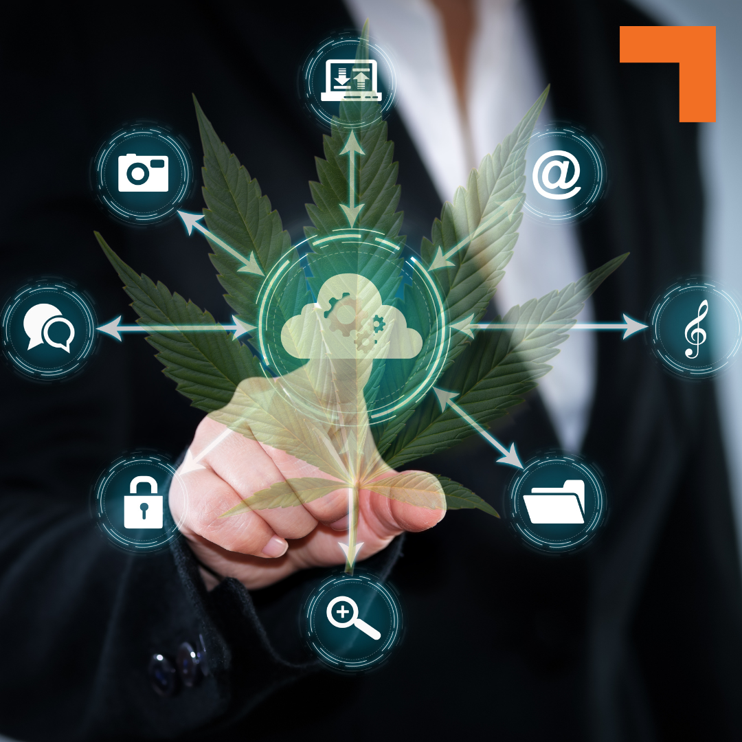 Ancillary cannabis payment processing. Merchant services for non plant touching businesses to accept credit cards