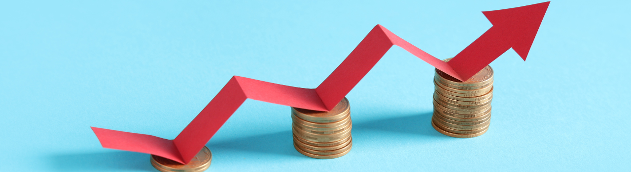 Visa's Commercial Enhanced Data Program explained